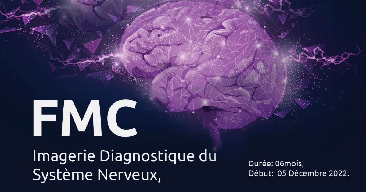 1ère FMC en neuroradiologie Imagerie Diagnostique du Système nerveux cover