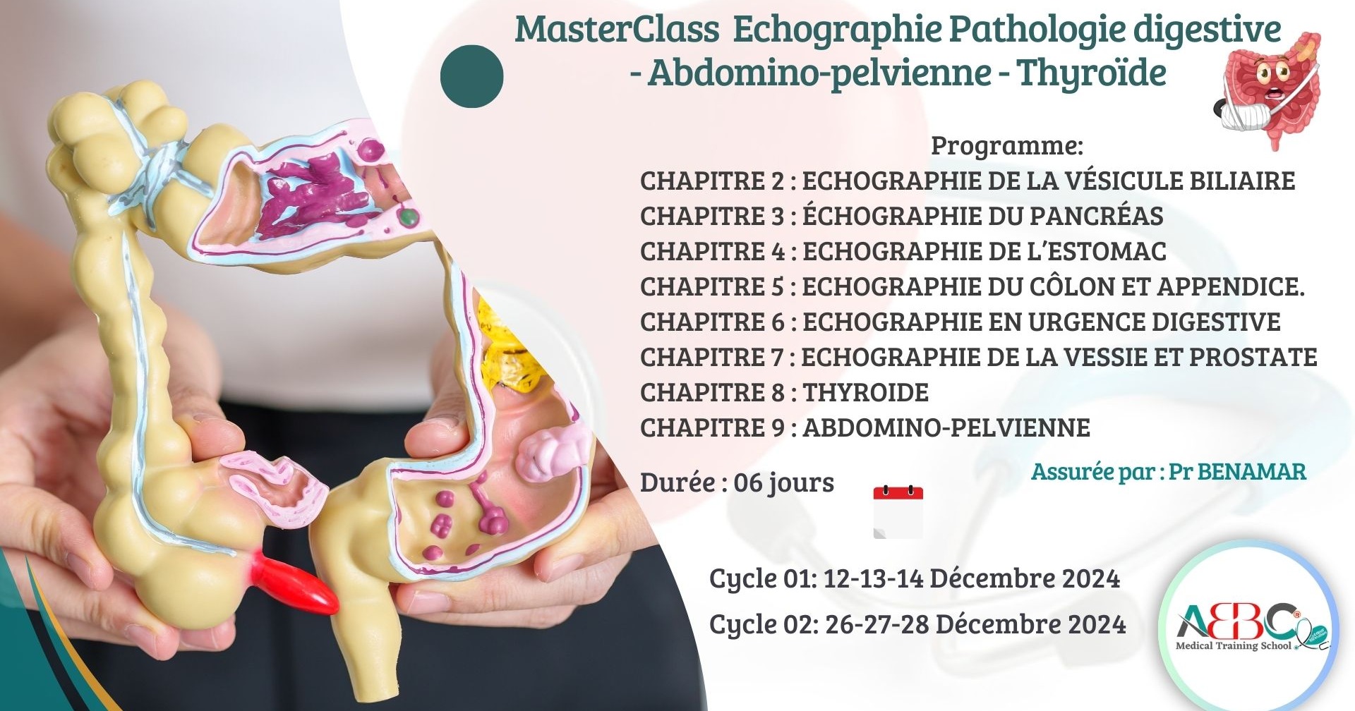 MASTERCLASS EN ECHOGRAPHIE DIGESTIVE  THYROÏDIENNE  ABDOMINO_PELVIENNE cover image