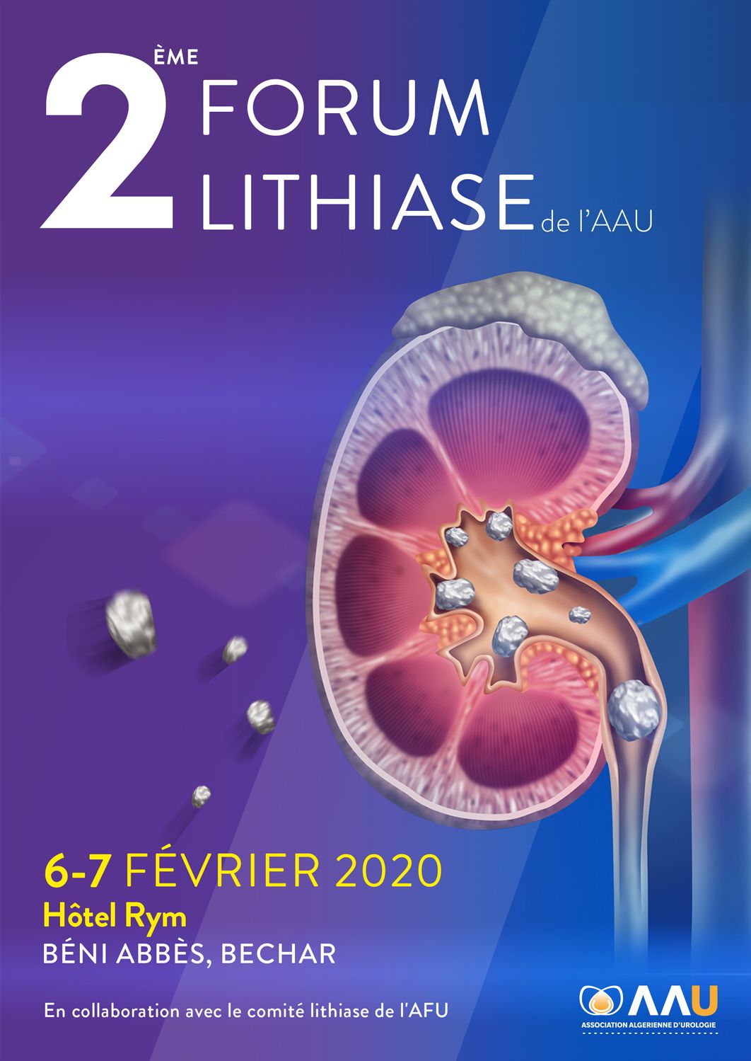 2ème Forum Lithiase d' Association Algérienne D'urologie affiche